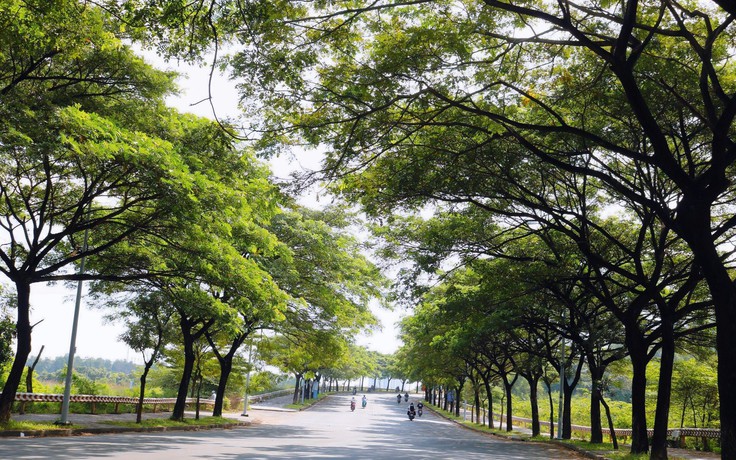 Những tuyến đường ai cũng muốn đi qua giữa thời tiết nắng nóng gay gắt ở TP.HCM