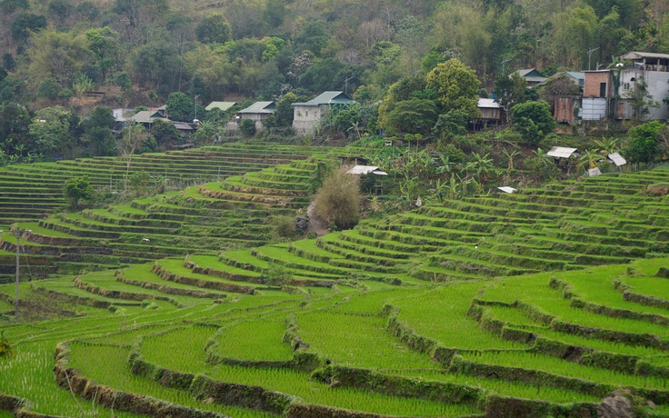 Ưu đãi của tỉnh Thanh Hóa cho các dự án đầu tư trong 5 năm tới