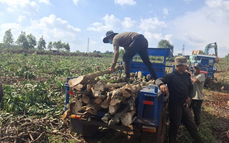 Đẩy nhanh tiến độ giải phóng mặt bằng dự án cao tốc Quy Nhơn - Pleiku