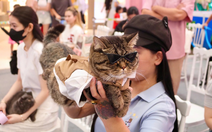 Cuối tuần, thú cưng được 'lên đồ lộng lẫy' đi ‘trẩy hội’