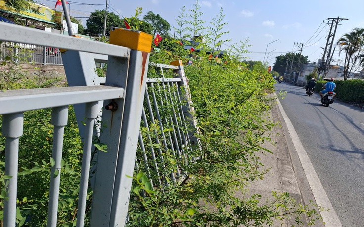 Lan can bờ kênh bị mất gây nguy hiểm