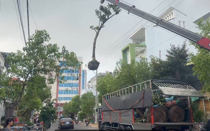 Lâm Đồng: Xe tải gắn cẩu va vào lưới điện 3 pha, tài xế tử vong