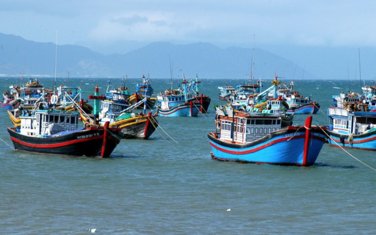 TP.HCM chuẩn bị sẵn sàng đón Đoàn thanh tra thẻ vàng IUU