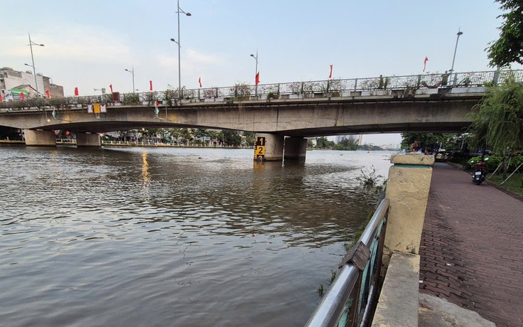 Chuyện phóng sinh và cái vòng luẩn quẩn