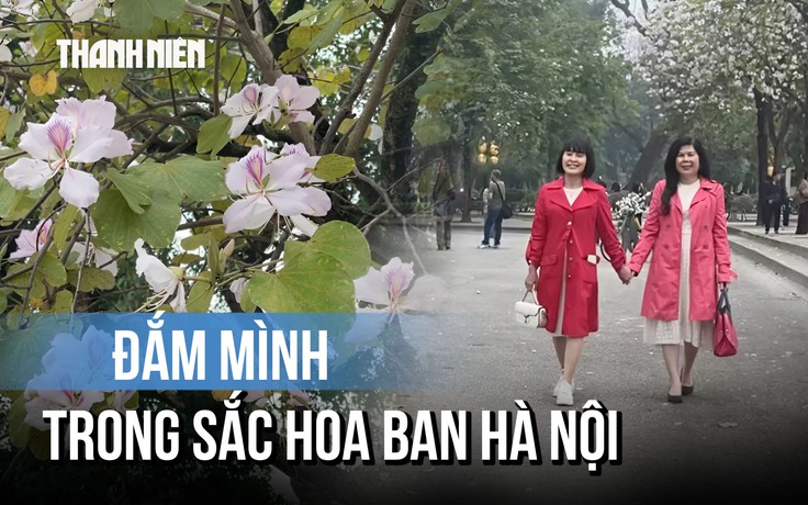'Nàng thơ' xúng xính chụp hình cùng hoa ban Hà Nội