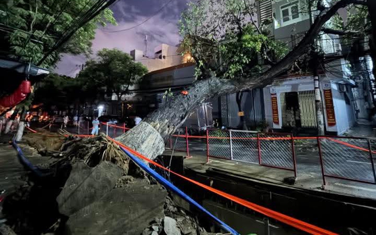 Cây cổ thụ bật gốc đè nhà dân nghi do đào đường thi công dự án