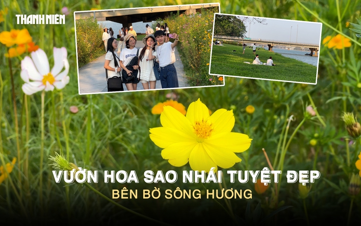 Vườn hoa sao nhái tuyệt đẹp bên bờ sông Hương: Giới trẻ nô nức check-in 
