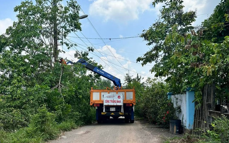 Phát quang để đảm bảo an toàn điện