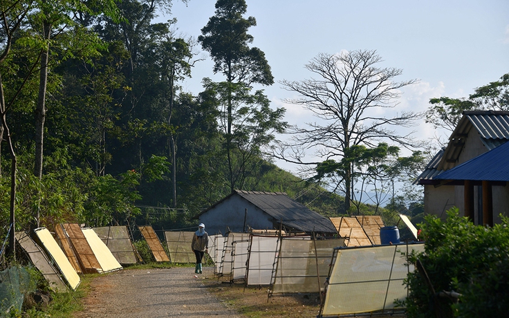 Giấy giang Pà Cò, khi hồn rừng về phố thị