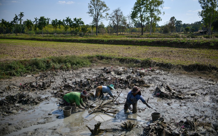 Thái Lan tăng tiền trợ cấp cho hơn 13 triệu dân