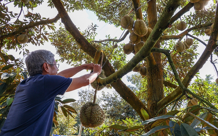 Trung Quốc, thị trường tiêu thụ lớn của Việt Nam