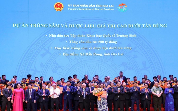 Hành trình nâng tầm Quốc bảo Sâm Việt: Bước tiến trong chuẩn hóa dược liệu Việt Nam