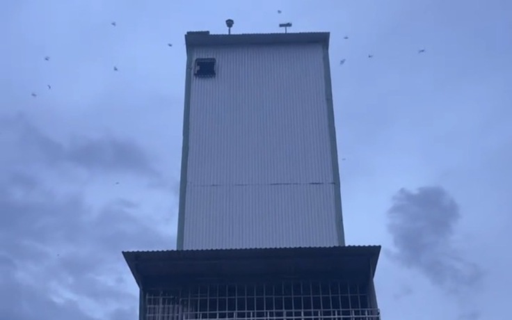 Nhà yến ở Gia Lai phát triển ồ ạt, nhiều người nuôi 'vỡ mộng'