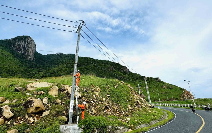 Những chú ong áo vàng cam chăm chỉ