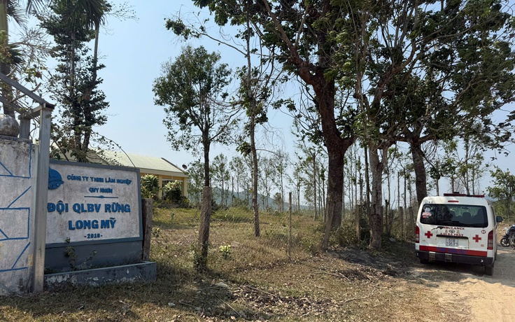 Ong tấn công tổ kiểm tra rừng, 1 người tử vong, 4 người cấp cứu