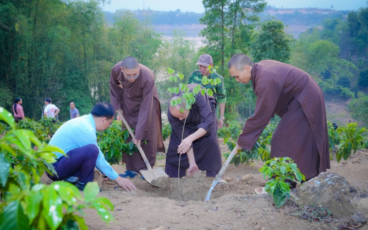Từ TP.HCM ra Điện Biên, sư thầy mang cây xanh và ánh sáng đến vùng cao