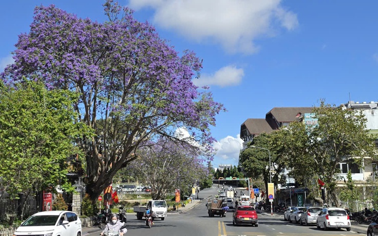 Cảnh giác bẫy 'sở hữu kỳ nghỉ' khi mùa du lịch hè đến gần