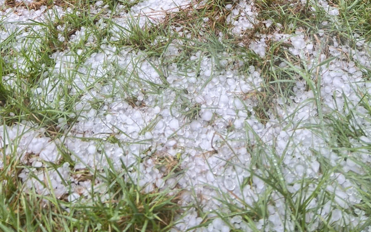 Mưa đá dội xuống Tu Mơ Rông, nông dân thiệt hại, chính quyền khẩn trương hỗ trợ