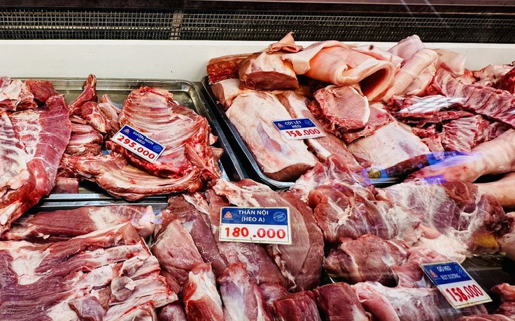 Giá heo hơi hôm nay 18.4.2026: Thị trường đang ấm lên