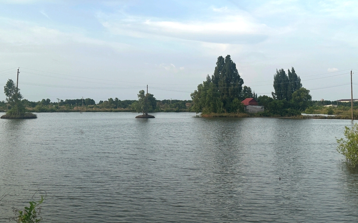 'Treo' 8 năm, ngân hàng đất 26,6 tỉ ở Cà Mau vẫn chỉ là đầm nước