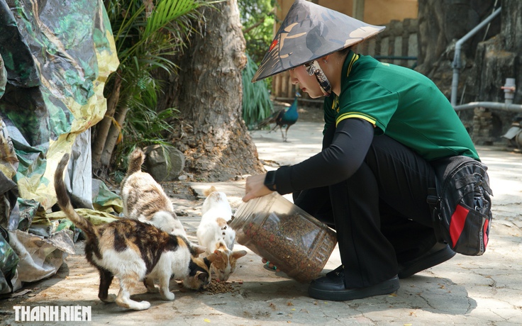 Chuyện về 100 con mèo hoang 'không hộ khẩu' ở Thảo Cầm Viên Sài Gòn