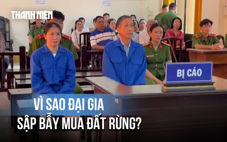 Các đại gia sập bẫy lừa mua đất rừng của cựu Trưởng công an Phú Quốc như thế nào?