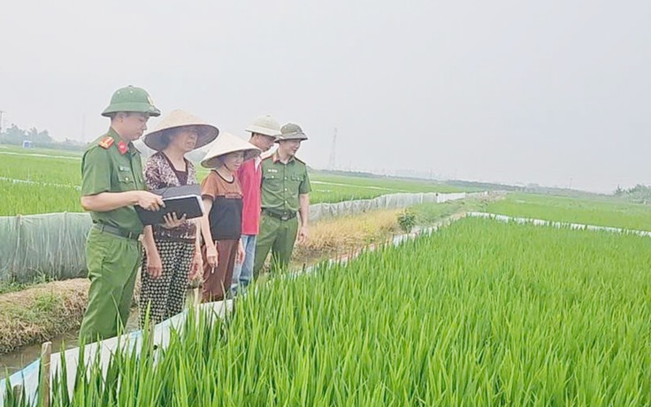 Hải Phòng: Lại xảy ra tai nạn chết người do dùng điện bẫy chuột