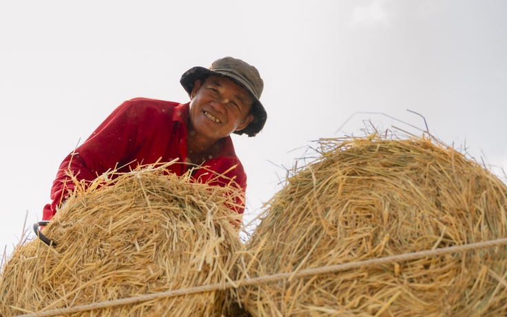 Nhộn nhịp chợ rơm cuộn Ba Lai: Nụ cười xua tan cái mệt dưới nắng hè