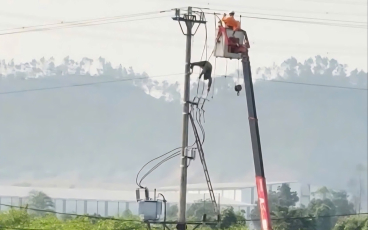 Nam sinh lớp 8 tử vong trên cột điện