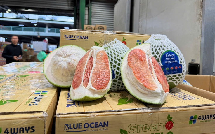 Bưởi Việt Nam chính thức 'lên kệ' tại Úc