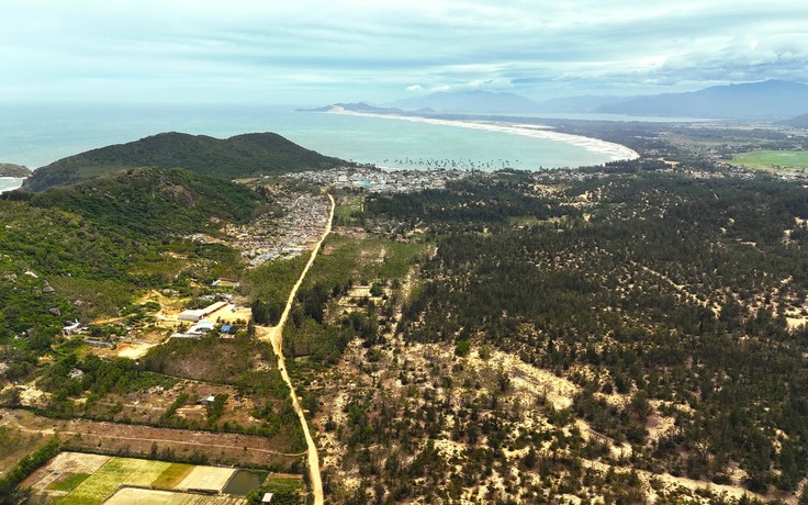 Gia Lai chuyển đổi 55 ha rừng để làm dự án hạ tầng