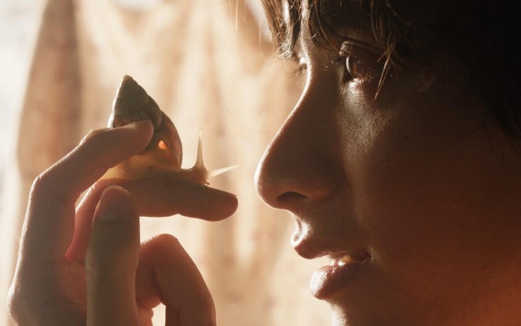 'Giấc mơ là ốc sên' tranh giải Cành cọ vàng cho phim ngắn tại LHP Cannes