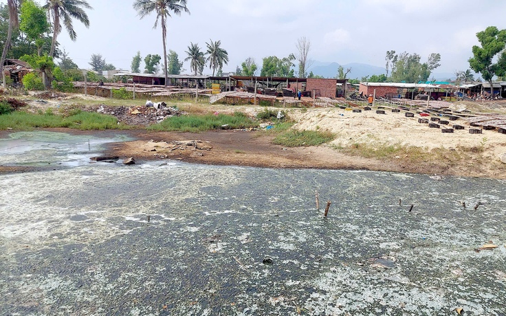 Chế biến mực xà tại Đề Gi: 54 hộ làm khổ 7.000 dân