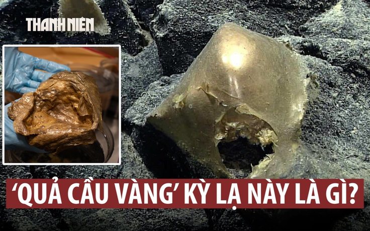 Hé mở bí ẩn ‘trứng vàng’ dưới đáy đại dương
