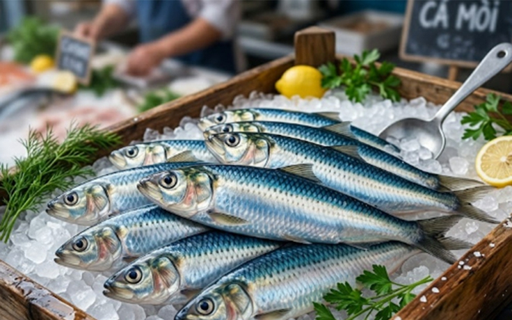 Ăn cá: Chuyên gia bật mí cách hấp thu omega-3 hiệu quả