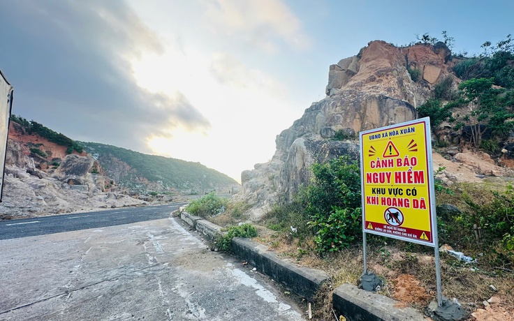 5 du khách bị khỉ cắn phải nhập viện ở Đắk Lắk