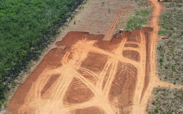 Đồng Nai: Bị xử phạt 30 triệu đồng vì làm biến dạng hơn 0,5 ha đất