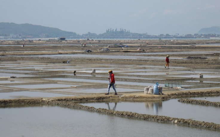 Trớ trêu ở Sa Huỳnh: Giá muối tăng nhưng diêm dân lại… không còn muối