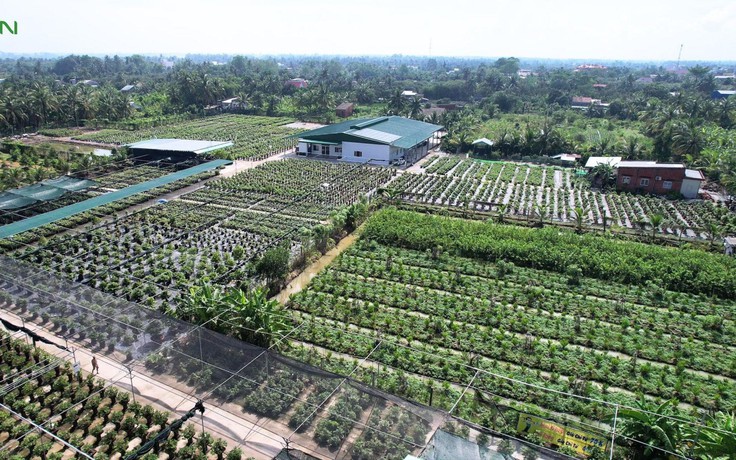 ViGen sẵn sàng vươn mình ra biển lớn, đưa giống cây trồng Việt cạnh tranh quốc tế