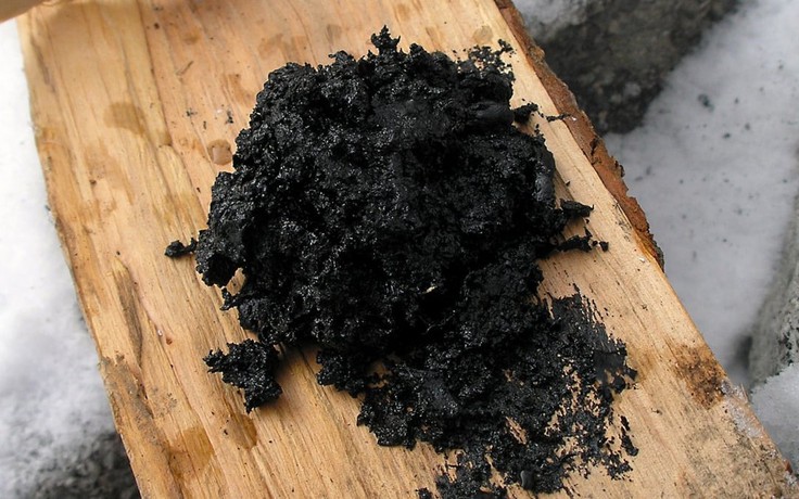 Người Neanderthal biết chế tạo dược phẩm từ 200.000 năm trước?