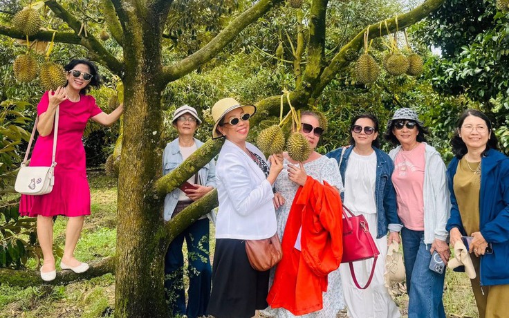 Thắng lớn nhờ bỏ lúa kém hiệu quả trồng sầu riêng làm du lịch