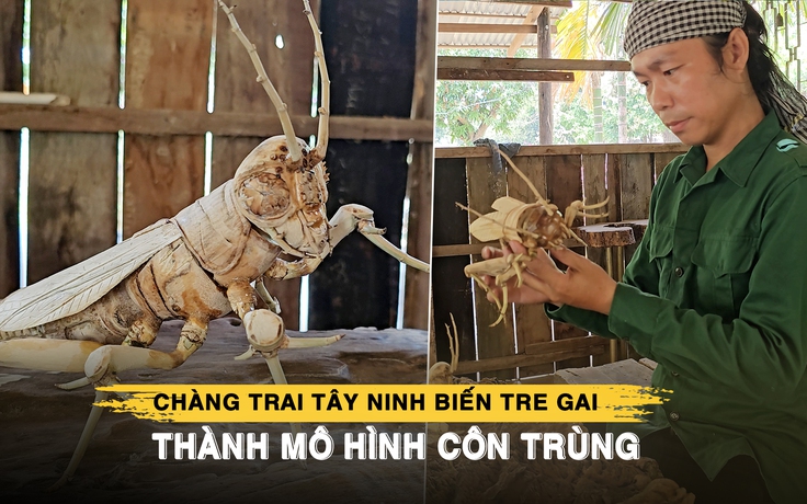 Chàng trai Tây Ninh biến tre gai thành mô hình côn trùng cực tinh xảo