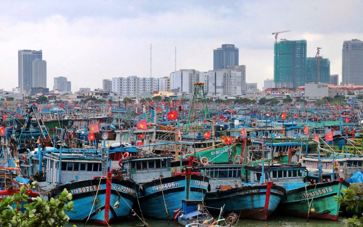 Đà Nẵng tính di dời cảng cá Thọ Quang, mở đường hình thành cảng du lịch