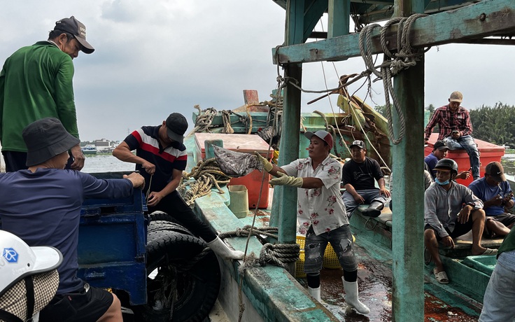 Khởi tố 55 vụ vi phạm khai thác thủy sản, An Giang quyết liệt gỡ 'thẻ vàng' IUU