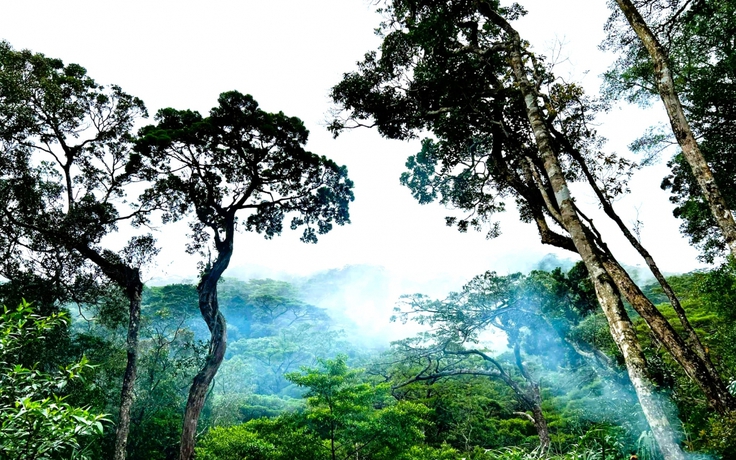 Vườn quốc gia Chư Yang Sin cảnh báo tình trạng leo núi tự phát