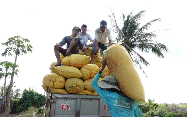 Mỹ dự báo Philippines nhập khẩu gạo kỷ lục tới 5,5 triệu tấn
