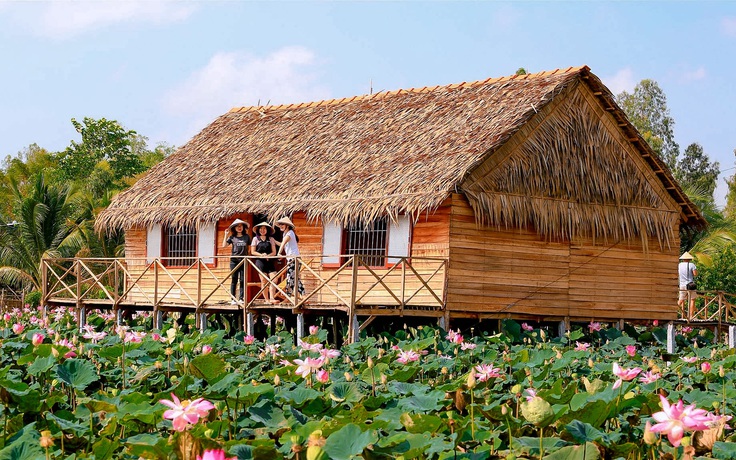 Lão nông chuyển ruộng lúa thành homestay giữa đồng sen, du khách đến rồi nhớ mãi