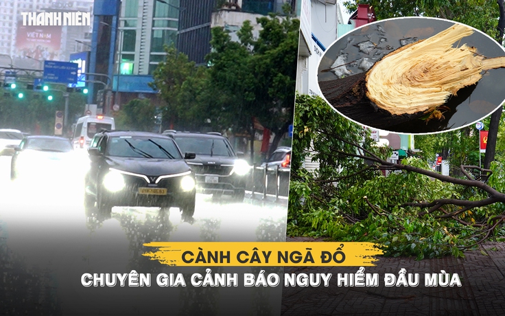TP.HCM mưa lớn 2 ngày liên tiếp: Cành cây ngã đổ, chuyên gia cảnh báo nguy hiểm đầu mùa