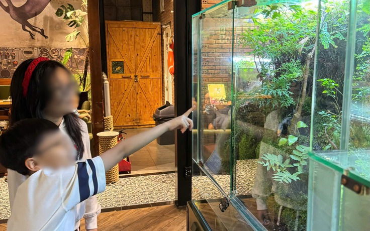 Nếu được tự thiết kế mùa hè lý tưởng, trẻ em mong gì?