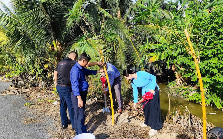 Trồng tre Đằng Ngà, tre Mạnh Tông nhân ngày sinh nhật Bác Hồ